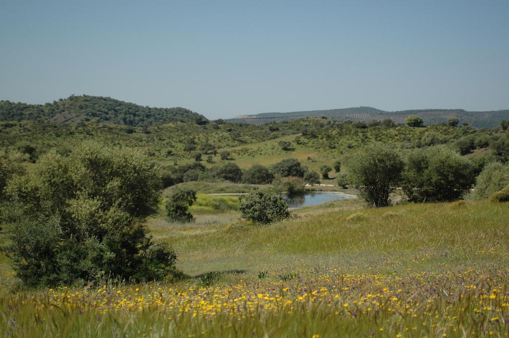 Villafranca de Córdoba Albergue Rural De Fuente Agriaホステル エクステリア 写真