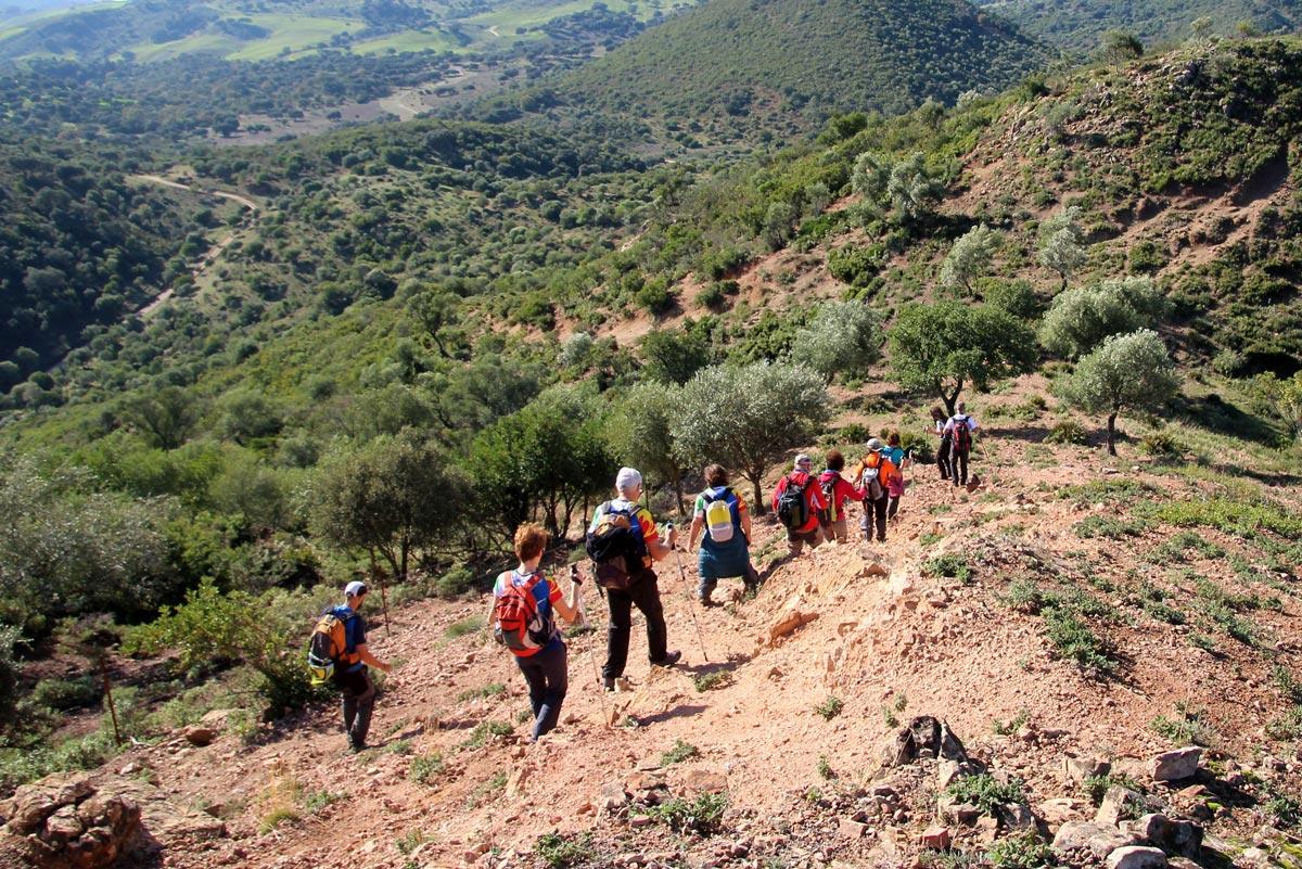 Villafranca de Córdoba Albergue Rural De Fuente Agriaホステル エクステリア 写真