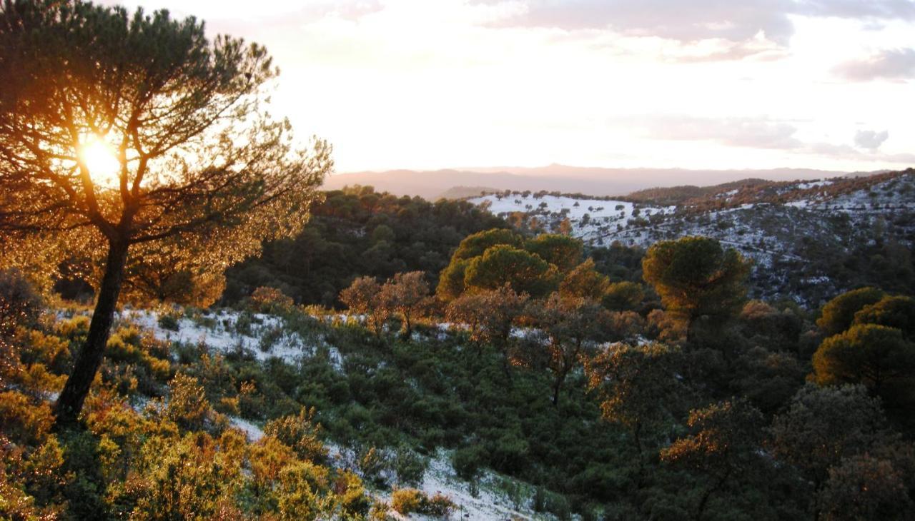 Villafranca de Córdoba Albergue Rural De Fuente Agriaホステル エクステリア 写真